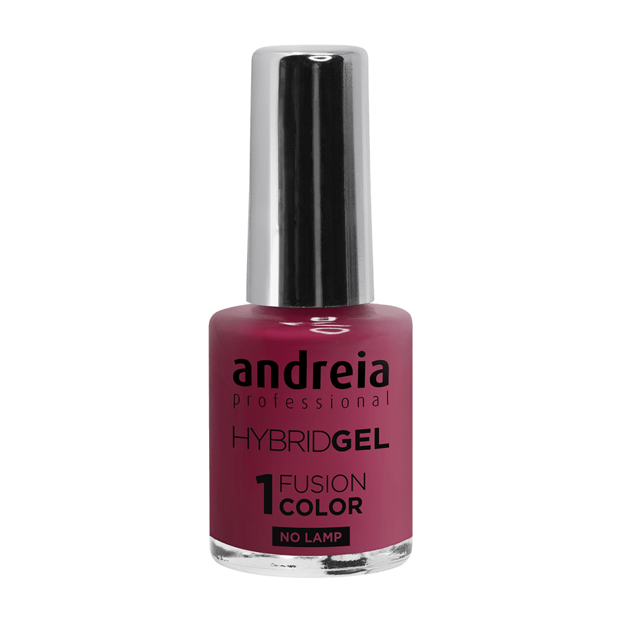 ANDREIA Hybrid Gel H21 Fusion Color 10.5ml